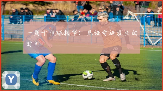 一周十佳球精华：见证奇迹发生的时刻